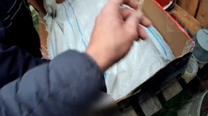 КАК СОХРАНИТЬ СВЁКЛУ И МОРКОВЬ НА ВСЮ ЗИМУ про село жизнь в деревне ЛАЙФХАК