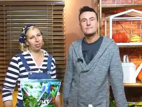 Программа Дачные сезоны о средствах против грызунов смотреть онлайн