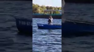 Сом в Конаково на 50кг