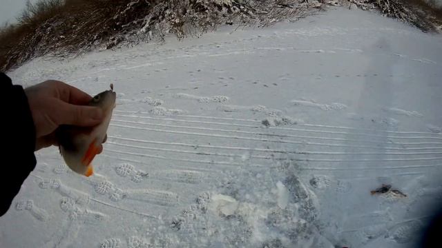 Рыбалка (Астана) Открыл зимний сезон рыбалки! 22.10.2020.г