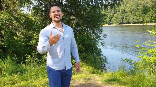 Дмитрий Чеблыков "Верни мне музыку" муз. А. Бабаджаняна, сл. А. Вознесенского