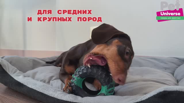 PU3057 Игрушка для собак Pet Universe шина, 10,5х4,5 см смотреть онлайн