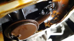 Промывка димексидом 1nz-fe Toyota Allion_Часть 1