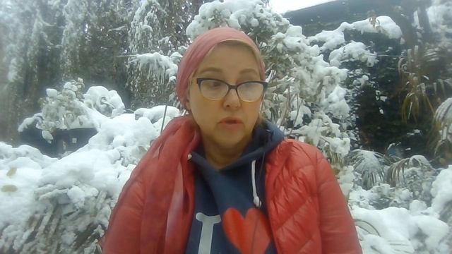 ПОЧЕМУ впервые стали мониторить ПОГОДУ.Грядет ПЕРЕМИРИЕ.РУССКИЙ паспорт