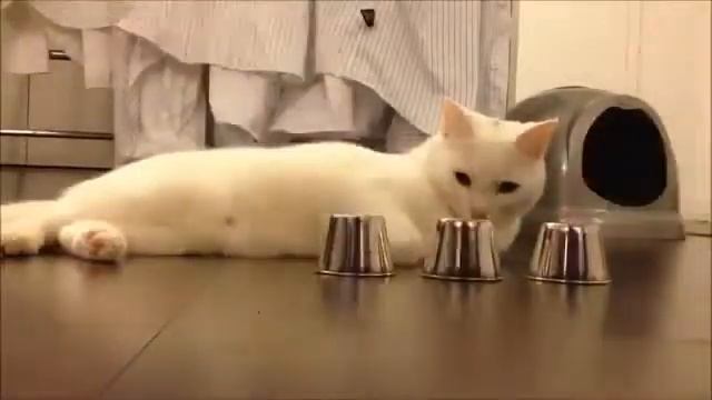 Кручу-верчу))))