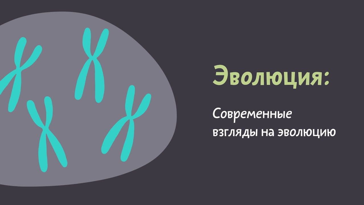 5.3 Современные взгляды на эволюцию. Естествознание - 10 - 11 класс