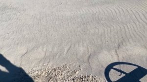 ГРОЗДЬЯ ЯНТАРЯ КОП НА ПЛЯЖЕ КАЛИНИНГРАДСКАЯ ОБЛАСТЬ METAL DETECTING