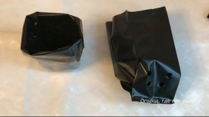 436  Сравниваю горшки для рассады