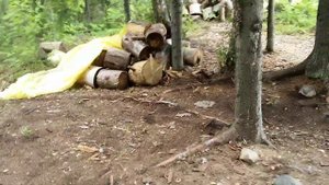 Карелия. Водлозеро. Шуйостров. Стоянка 29.