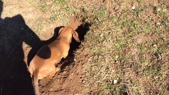 25 февраля 2019 г. смотреть онлайн