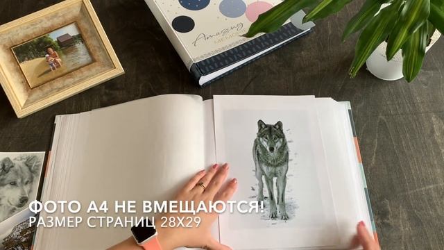 Фотоальбом классический Walther арт. FA-336-P, MX-485-I под уголки смотреть онлайн