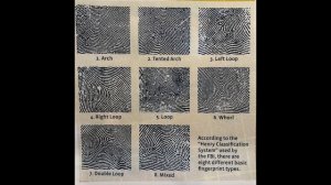 Smithsonian Crime Scene Fingerprint Kit