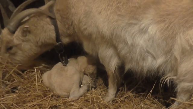 Принимаем поздравления!!!//вот так сюрприз!!!!// смотреть онлайн