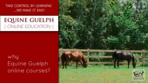 Student talks about online horse education with Equine Guelph.