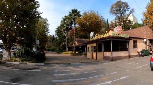 Привокзальная площадь и парк в Хосте. Ноябрь 2021.?ЛАЗАРЕВСКОЕ СЕГОДНЯ?ХОСТА.