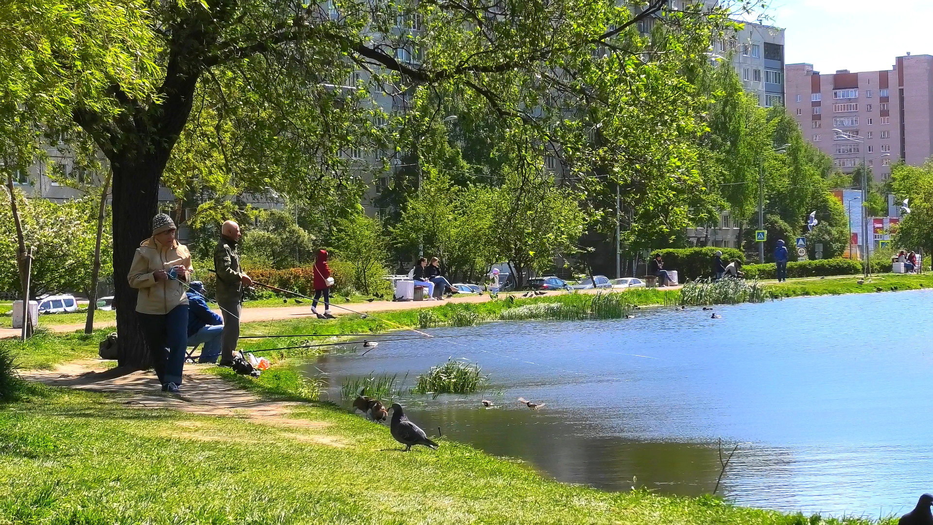 Городской сквер