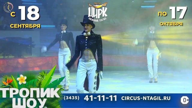 Бегемот в цирке смотреть онлайн