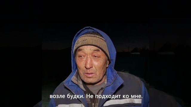 Эту собаку вывезли и оставили на трассе, 3 месяца она ждала хозяина, посмотрите что с ней случилось смотреть онлайн