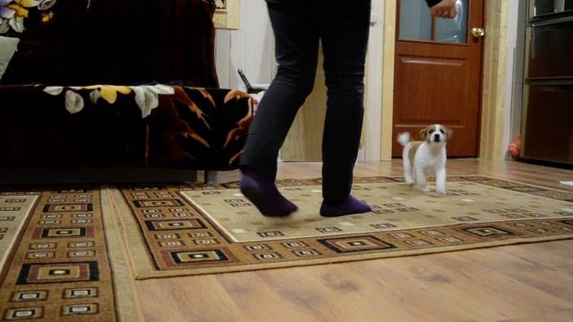 Декупаж 2 м.. смотреть онлайн