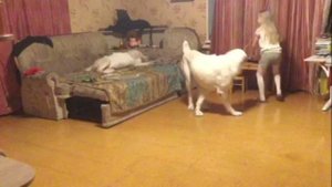 Наш дурдом #питомникшилеле