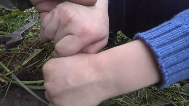 Отключаем воду. Страшная жаба,слизни...Подготовка к зиме. смотреть онлайн