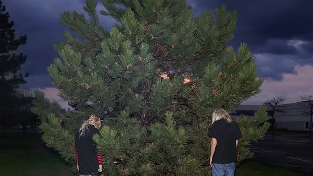 100 gecs - ringtone (Official Audio Stream) смотреть онлайн