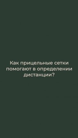 Прицельная сетка: плюсы