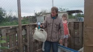 Вес утки в 35 дней