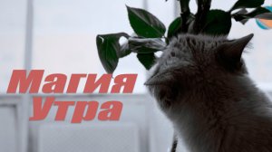Магия утра.mp4