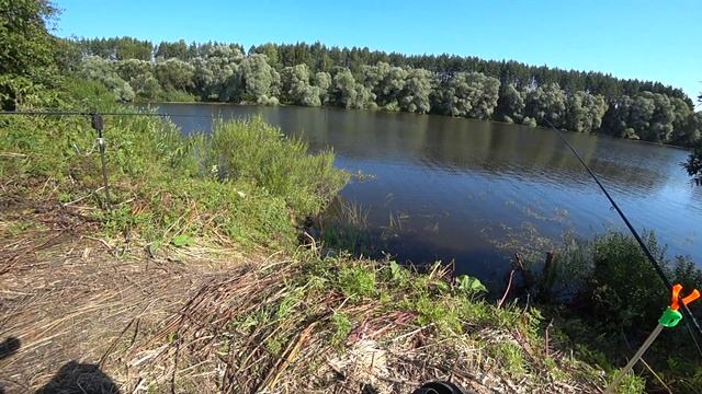 Рыбалка в Можайской области. Верхняя Москва река.
