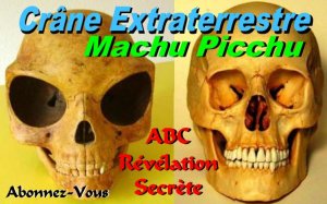 Un Crâne EXTRATERRESTRE découvert a Machu Picchu
