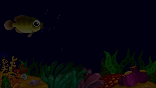 Música Para Dormir Bebés y Animación Para Calmar