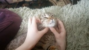 Укротительница кота Сени.