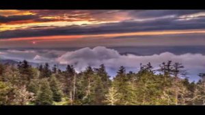 Great Smoky Mountains National Park | USA