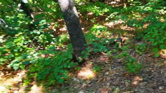 Путешествие по степи на север(нашёл кавказ в степи и другие места...) смотреть онлайн