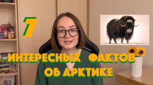 7 интересных фактов об Арктике