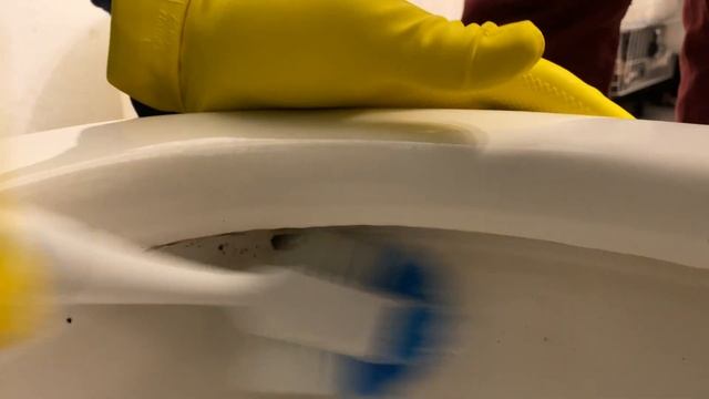 How To Get Rid of BLACK MOLD in a Toilet Bowl with Cleaning Vinegar смотреть онлайн