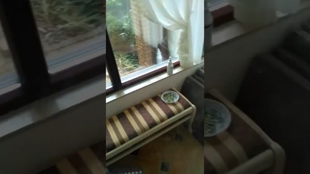 I.K.Y. Partners Сухой туман/устранение запаха. смотреть онлайн