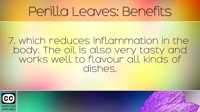 Perilla Leaves: Benefits & Uses смотреть онлайн