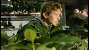 Чрезвычайные приключения Юли и Ромы: Комнатные растения