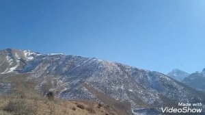 #Росровут#03/11/2021/ йесли не жалка 👍👍🔔🔔 не забудьте подписаться на канал Barakatullo tj 06/11/202