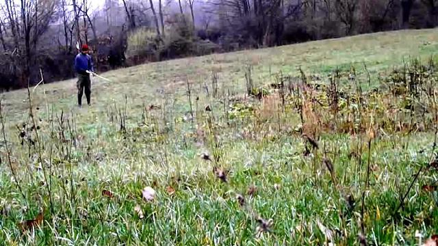 Nov bagremov luk - new acacia bow #74 @ 28" смотреть онлайн