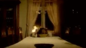 Dining Room or There is Nothing