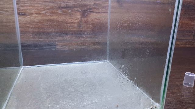 СУПЕР СРЕДСТВО ДЛЯ ОЧИСТКИ СТЕКОЛ ОТ НАЛЕТА И ГРЯЗИ смотреть онлайн