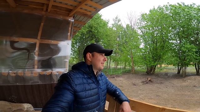 Погода вносит свои коррективы. СРУБ БАНИ. [Жизнь в деревне]