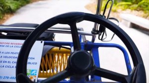 Влог в зоопарке Майами Настя кормит жирафов