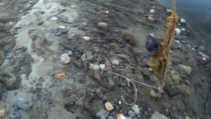 Утренняя рыбалка на Печоре!!!!! 2017!!!! Няшабож!!!!