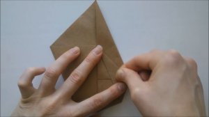 Origami Camellia Flower - Origami Instructions