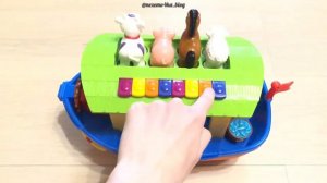 «Ноев Ковчег» Kiddieland