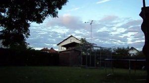 бойные голуби Кавказа в Германии